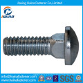 Stainless Steel ss316 Carriage Bolt